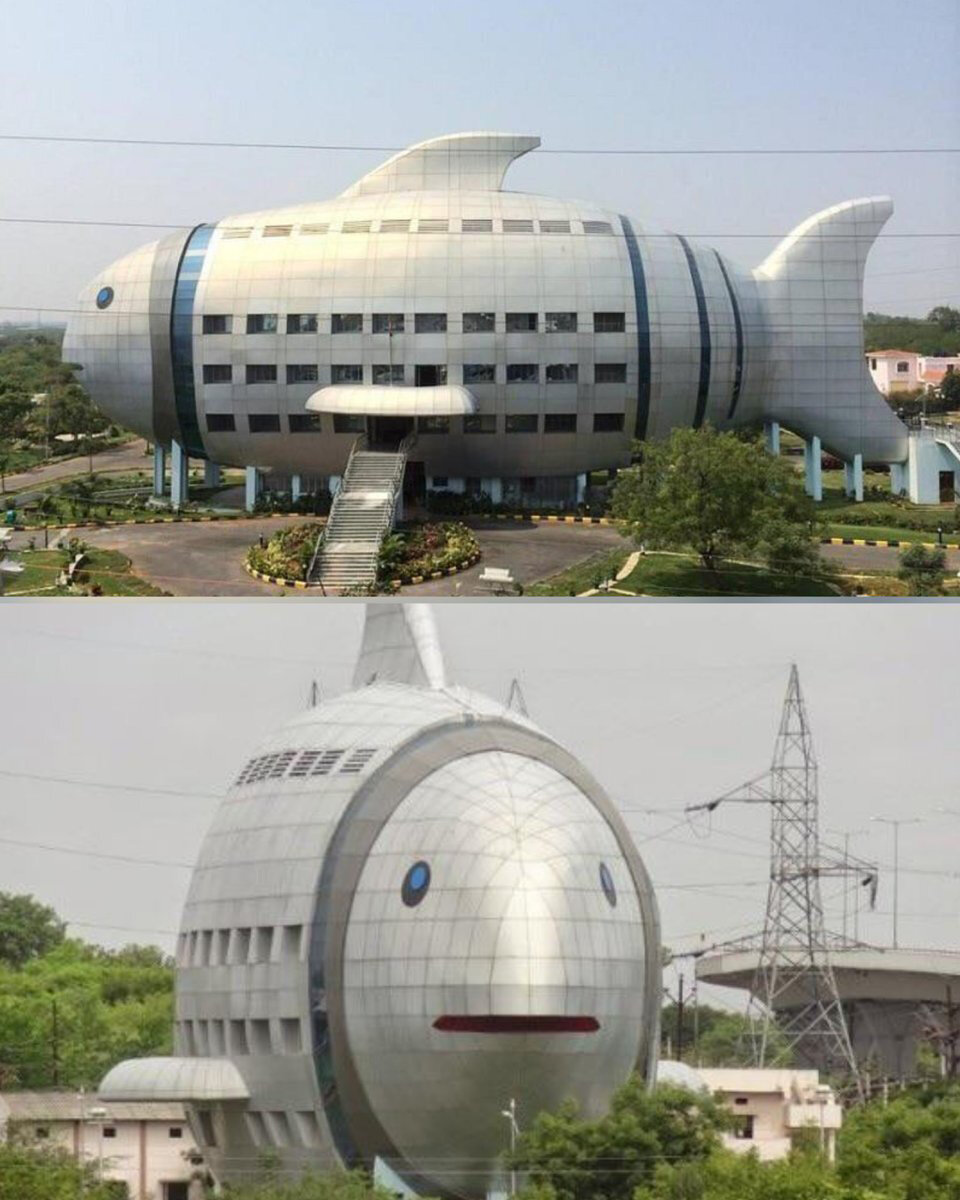 ماجراجوییهای بامزه معماران | نمای عجیب هتل سبدی آمریکا