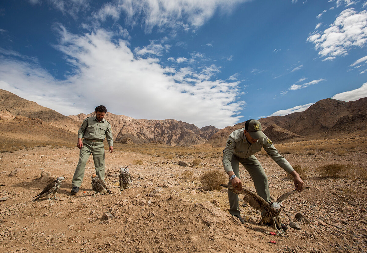 ۸۰ میلیون محیط بان یک گام بزرگ به جلو | حافظان طبیعت صاحب روز شدند | درگیری چهره به چهره با متخلفان در برخی مناطق صفر شد