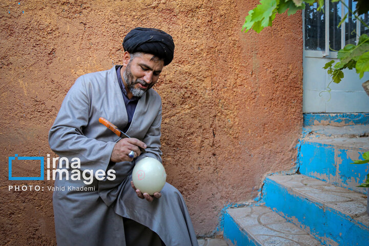 سید قاسم عربشاهی