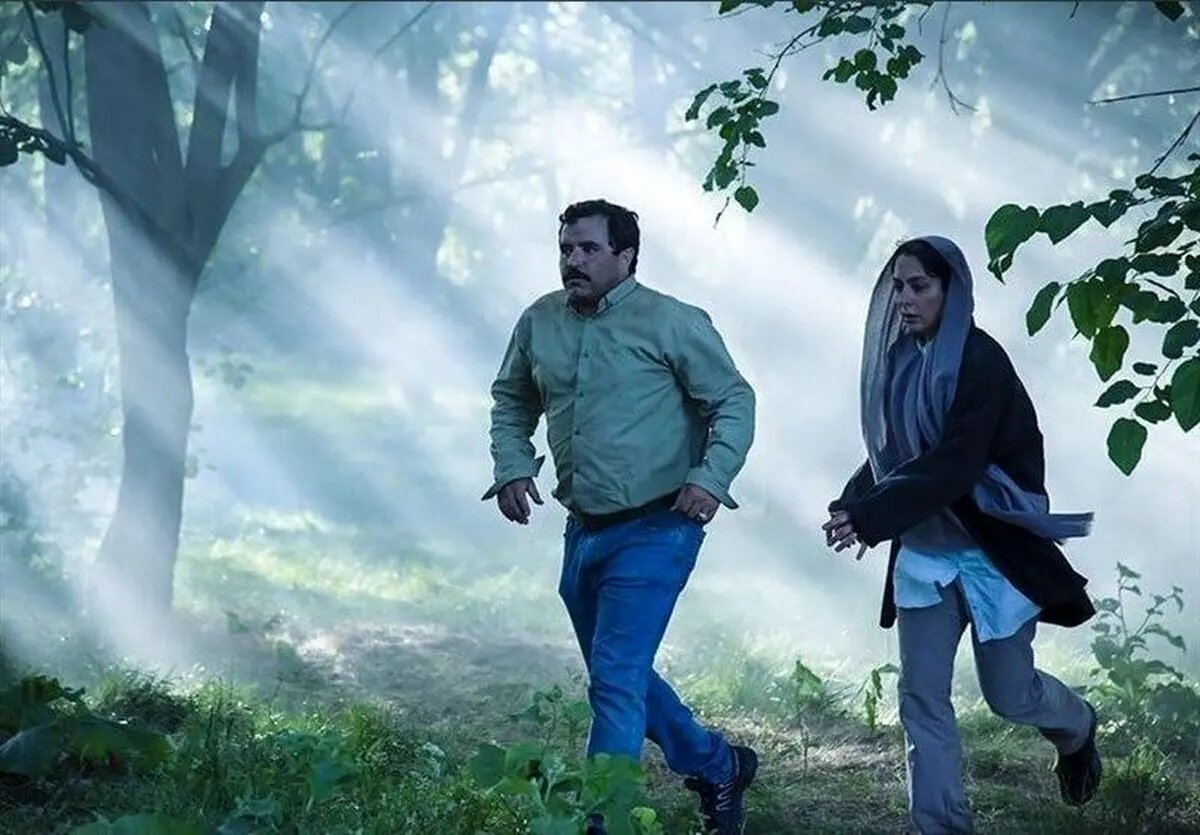 درباره نماینده ایران در این رقابت بینالمللی چه میدانیم در آغوش درخت