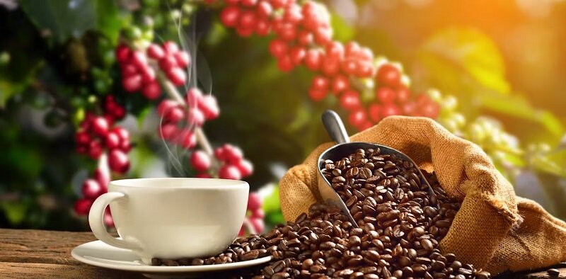 قهوه به این ۷ دلیل عمر ما را طولانی میکند