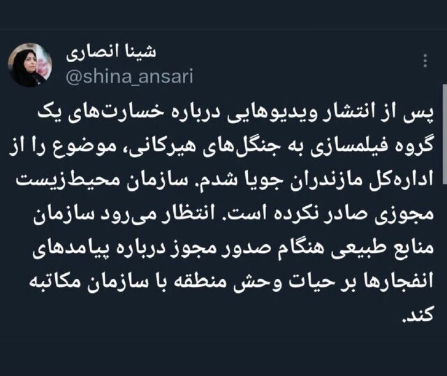 تخریب جنگلهای هیرکانی توسط یک گروه فیلمسازی | واکنش رئیس سازمان محیط زیست