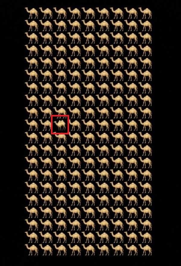 اگر میخواهید بدانید تیزبین و باهوش هستید این تست را انجام دهید