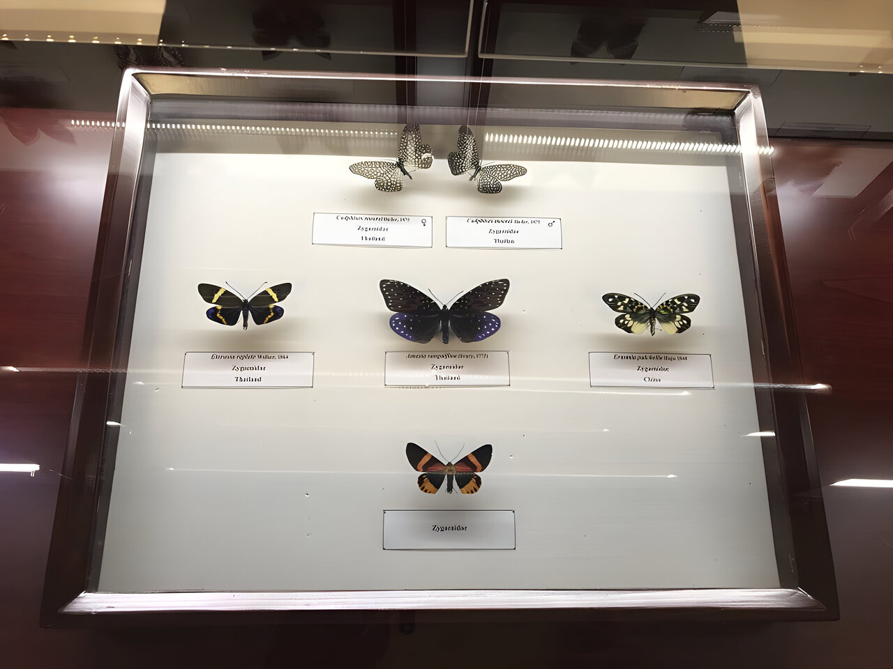 گردش در بزرگترین باغ گیاهشناسی پایتخت