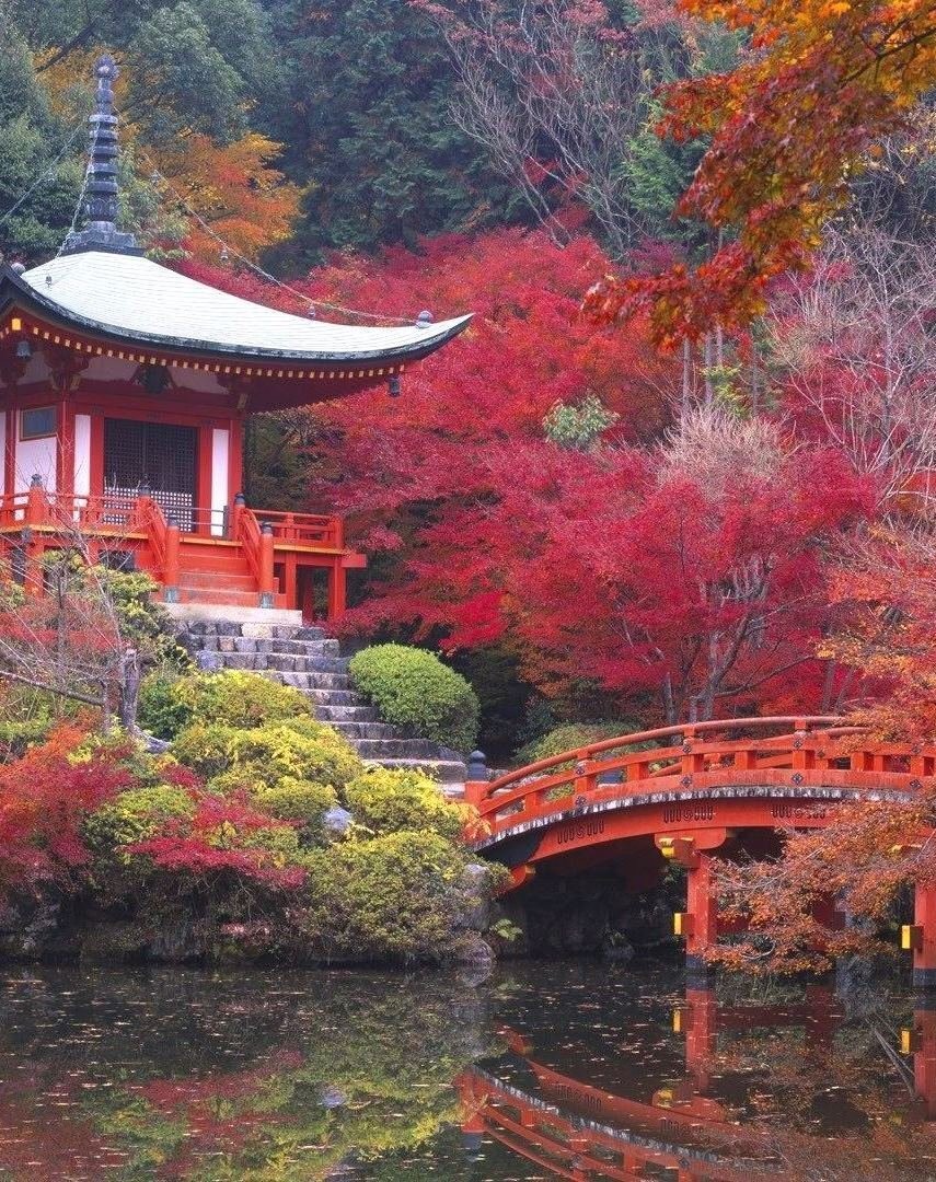 پادشاه فصلها پاییز | عکس های دیدنی از قاب های زرد و نارنجی