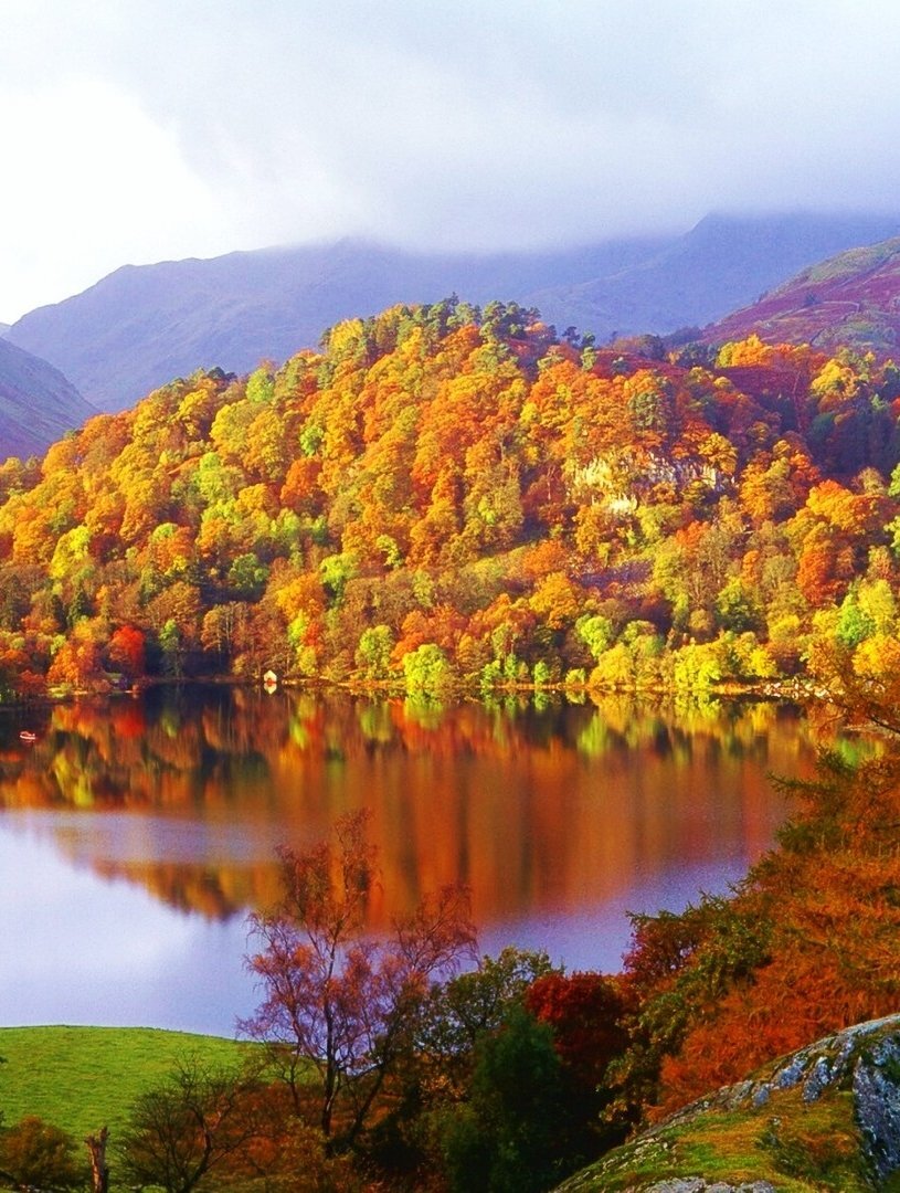 پادشاه فصلها پاییز | عکس های دیدنی از قاب های زرد و نارنجی