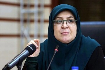 توضیح سخنگوی دولت درباره سرمایه گذاری آمریکایی ها در ایران | تأثیر موفق بودن مذاکرات بر حل مشکلات اقتصادی کشور