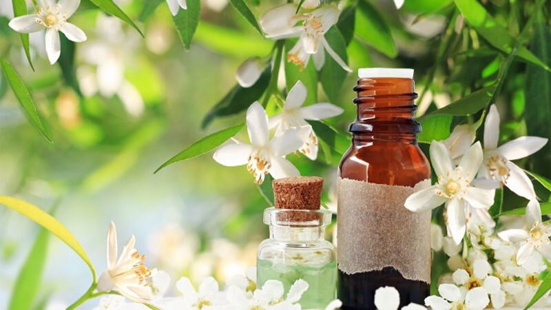 انواع روغن برای ترک پوستی