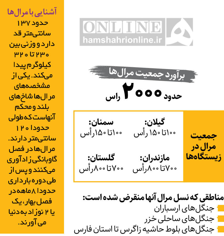 قرق جنگلها برای حمایت از گوزن قرمز | ورود به جنگلهای شمال تا کی ممنوع است؟