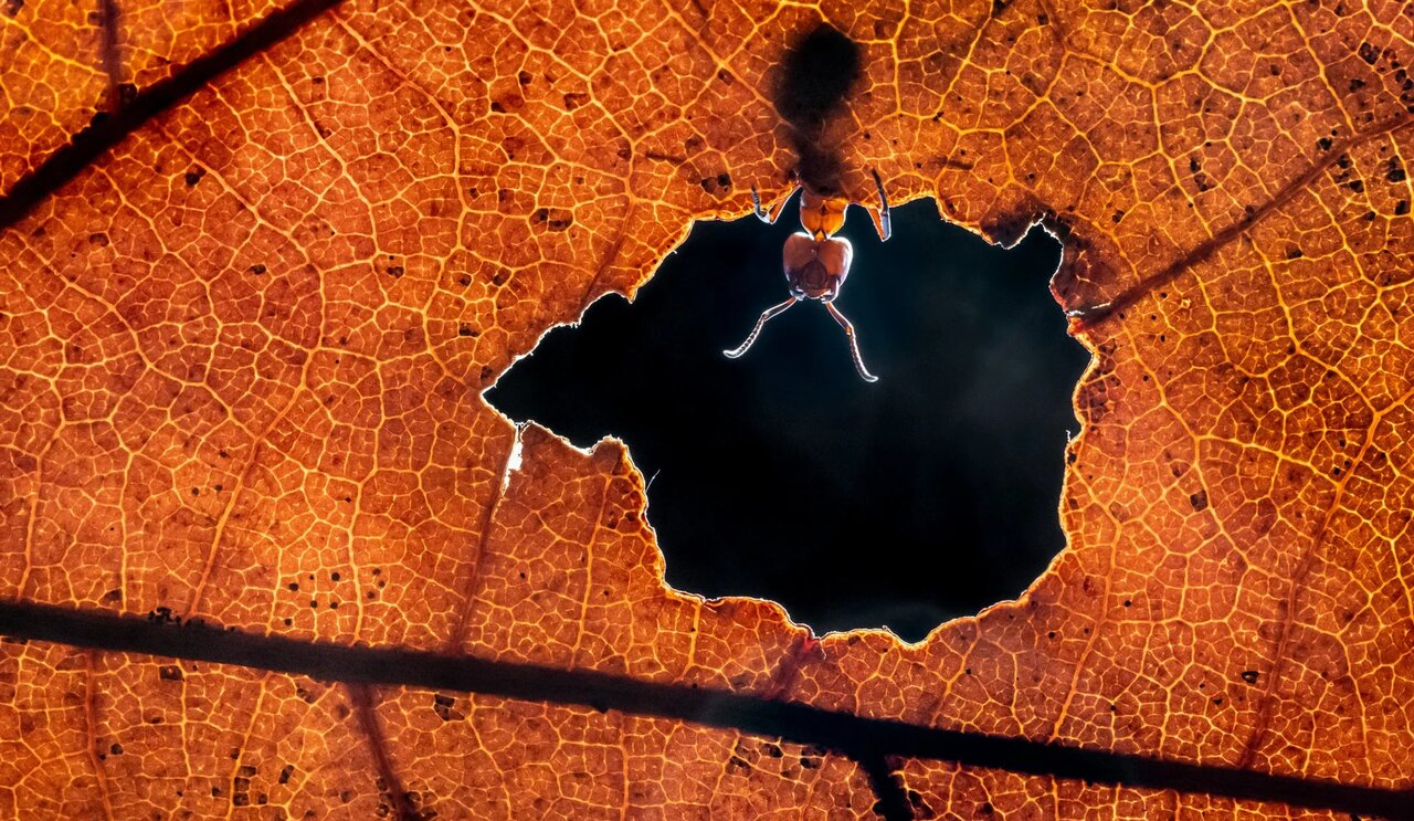 سلام پاییز | عکس