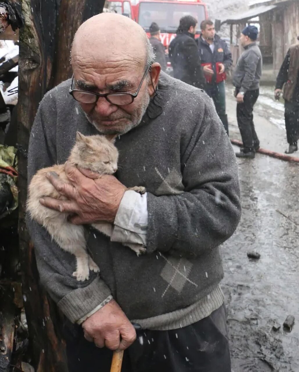 پیرمرد گربهای! | رابطه پرعاطفه پیرمرد و گربه جهانی شد