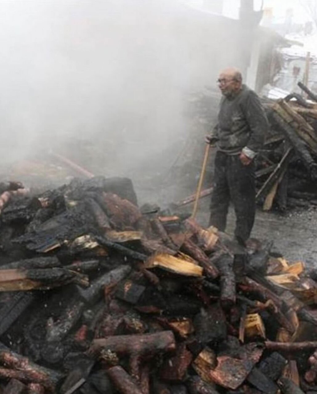 پیرمرد گربهای! | رابطه پرعاطفه پیرمرد و گربه جهانی شد