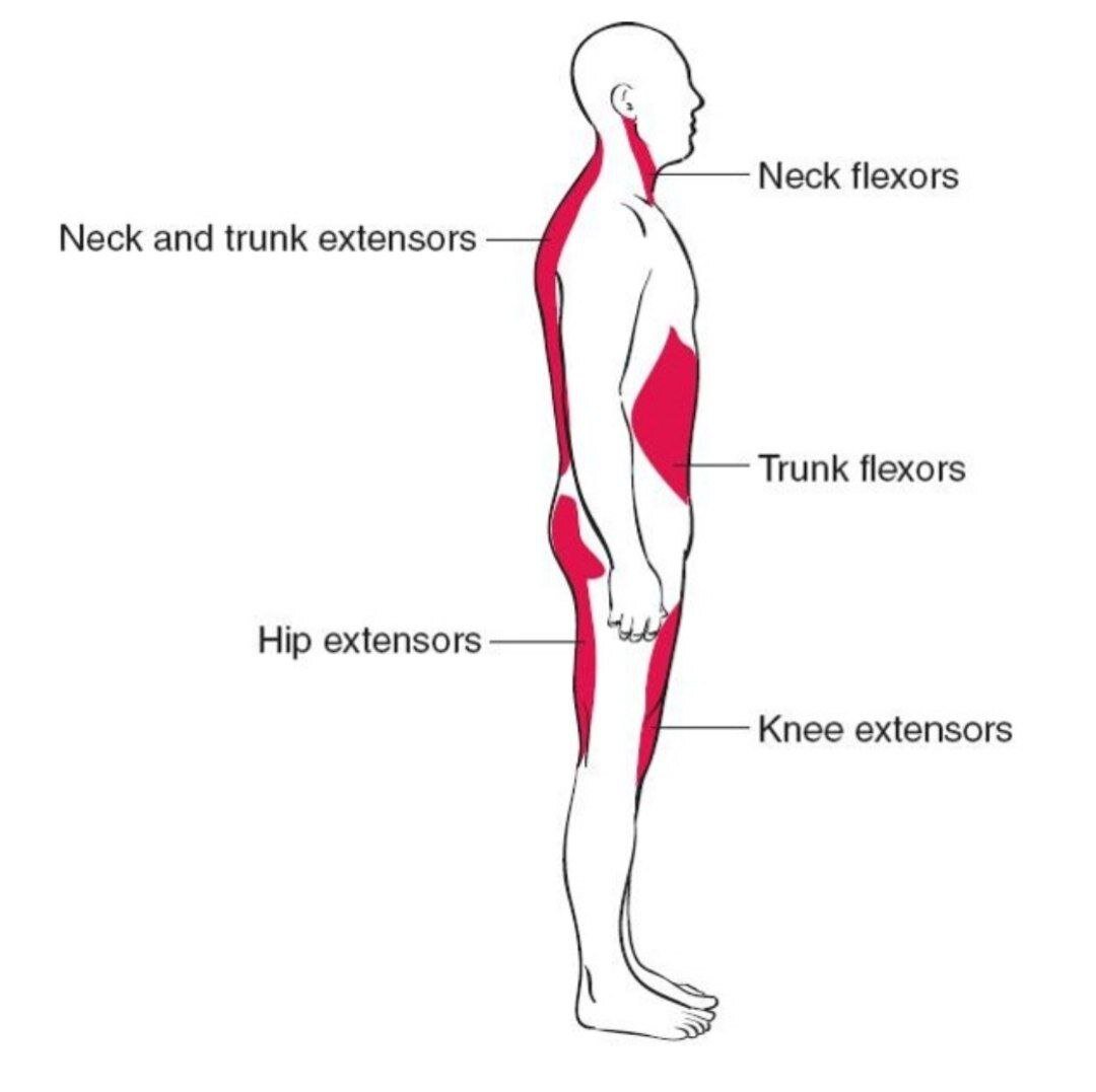 ارتباط نشستن وایستادنهای اشتباه با دردهای مزمن مفصلی
