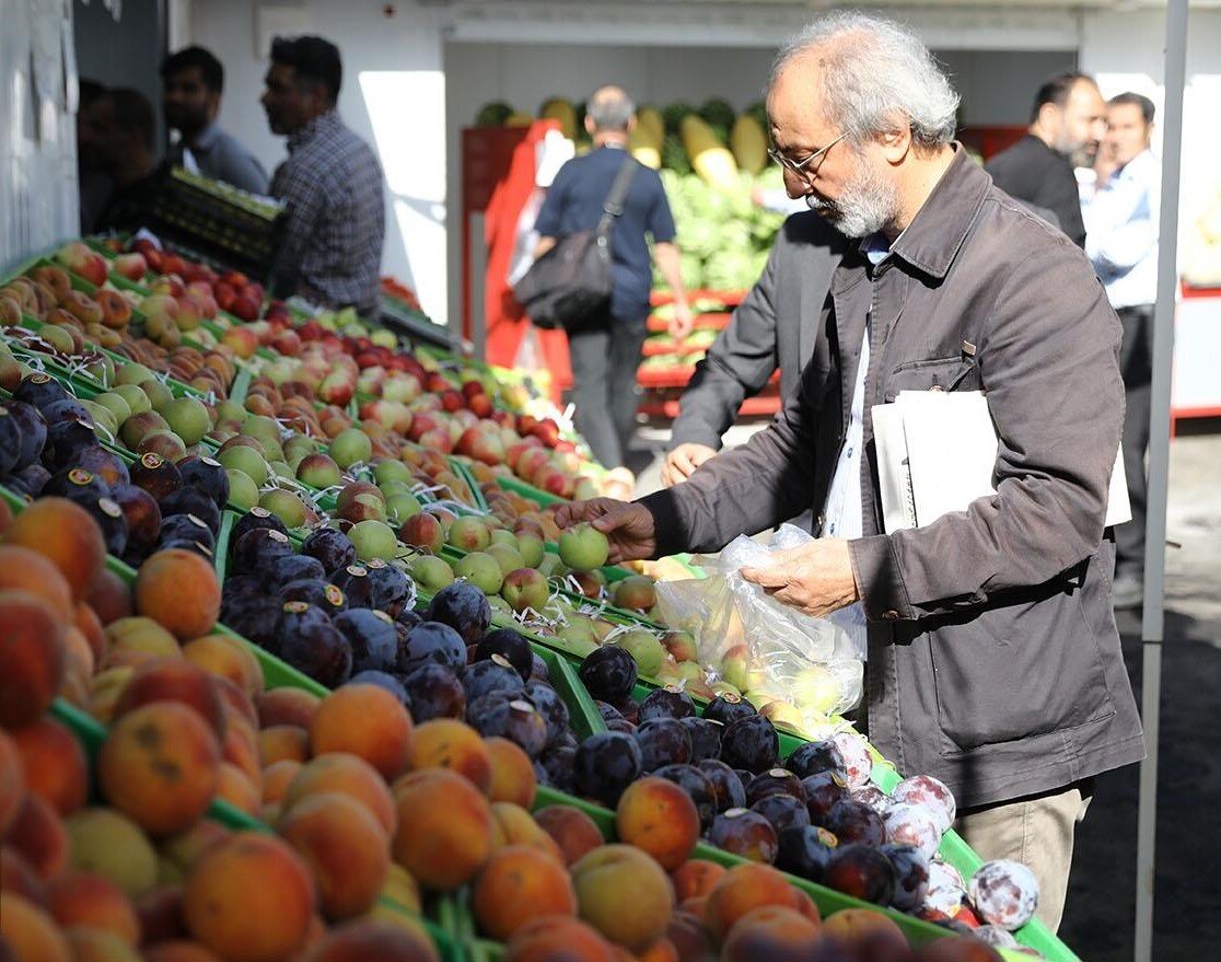 میادین میوه و تره‌ بار