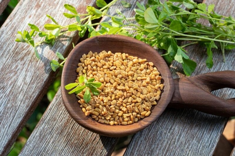 خواص جادویی گیاهان و ادویههایی که هر روز مصرف میکنیم