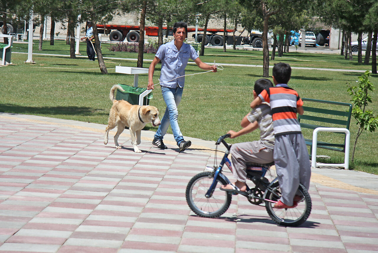 واقعیتهای کمتر گفته شده از حیوانات خانگی | هزینه نگهداری سگهای خانگی چقدر است؟