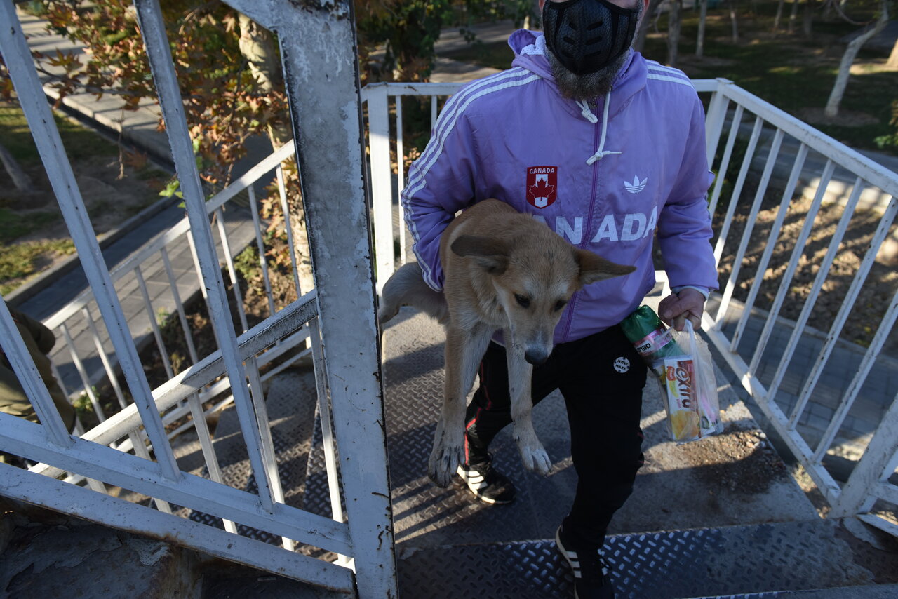 سگ و گربههای سالمی که صاحبشان را تا مرز مرگ میبرند!