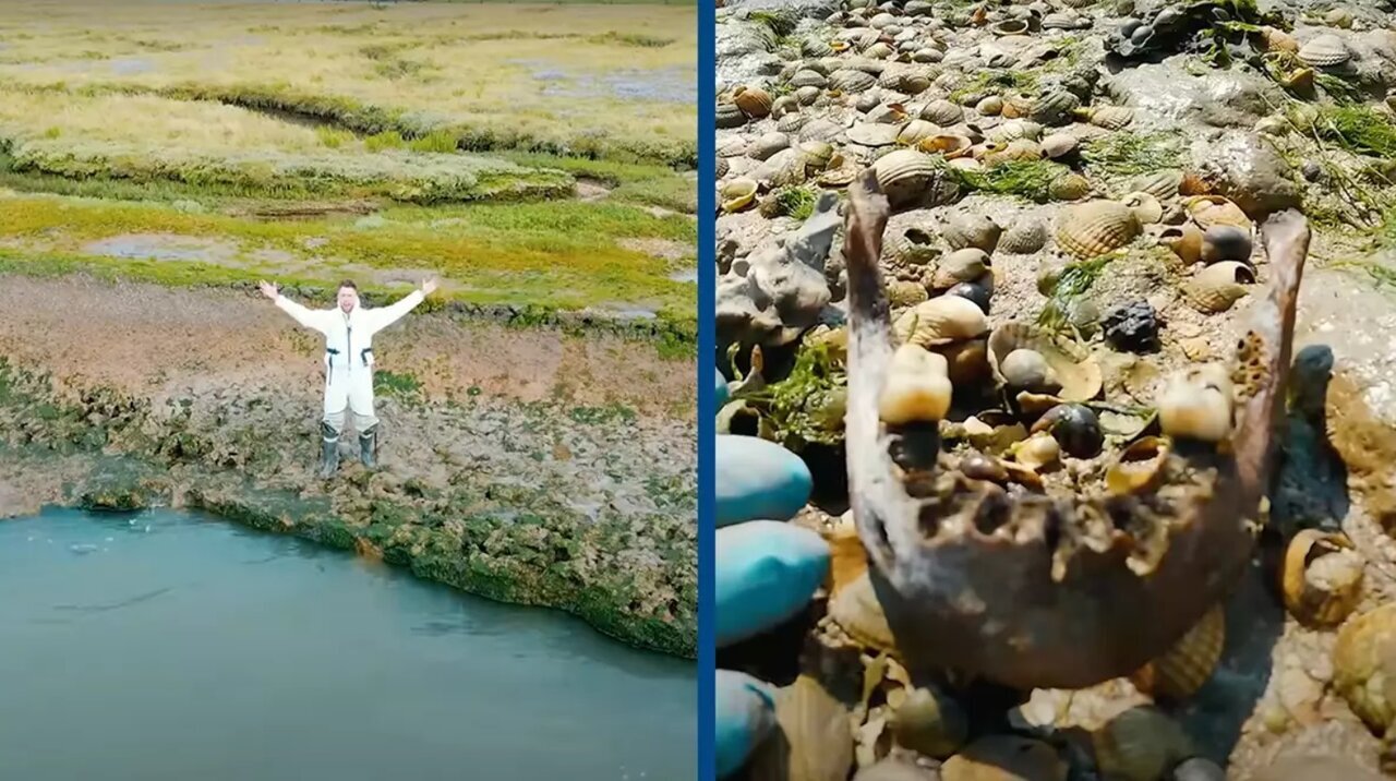 اینجا آلودهترین و عفونیترین جزیره دنیاست!+ عکس