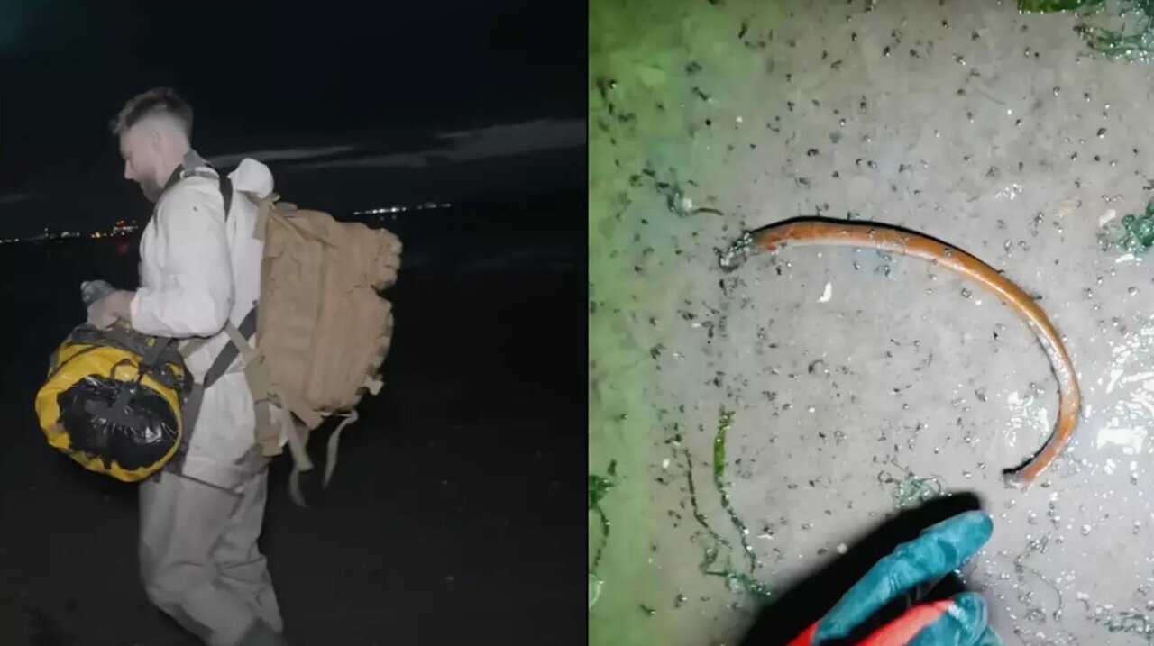 اینجا آلودهترین و عفونیترین جزیره دنیاست!+ عکس