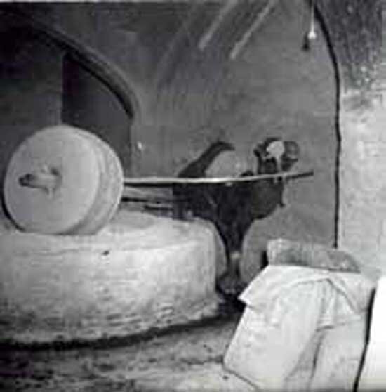 عصاری و عصارهگیری را خوزستانیها در تهران رواج دادند | چرا گود عربها از بین رفت؟