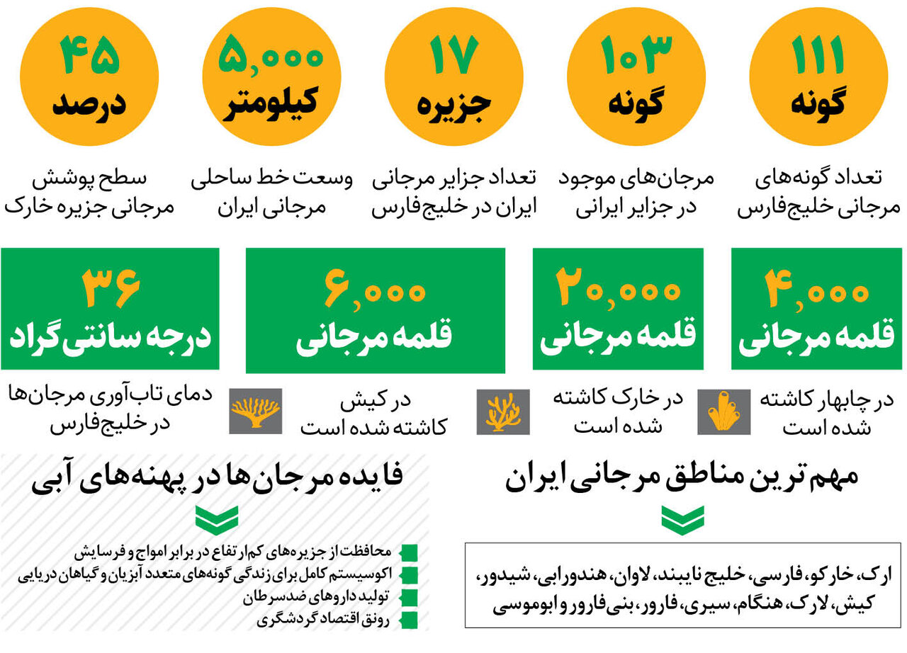 مرجان های خلیج فارس به بار نشستند 