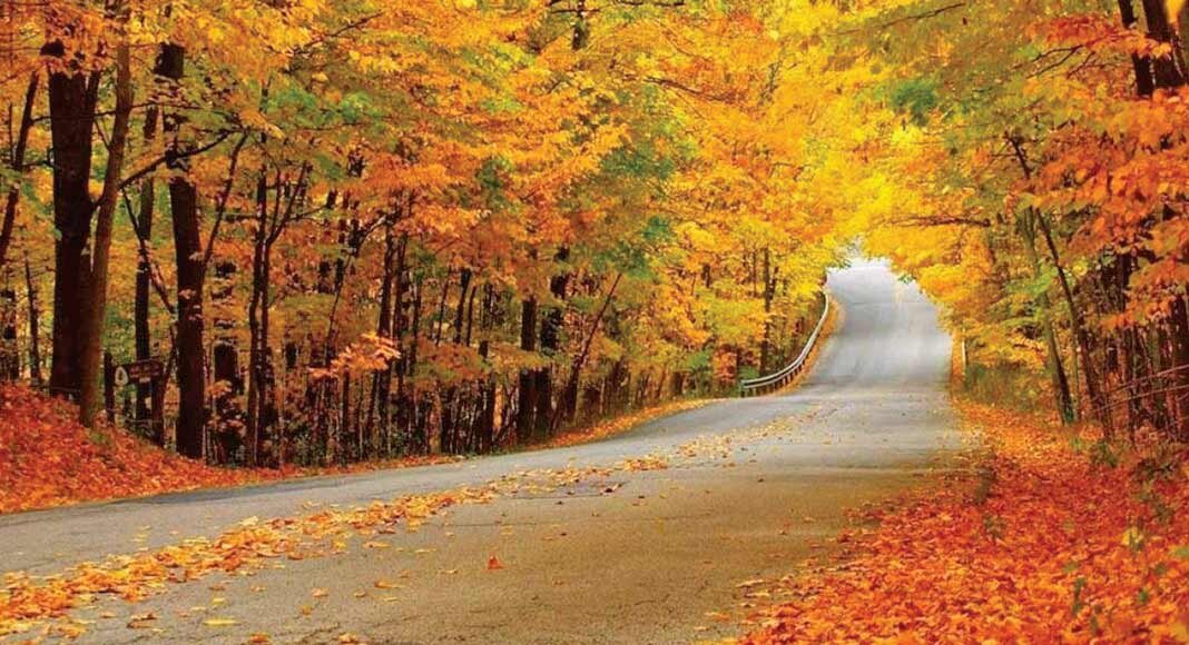 زیباترین جاده های ایران را ببینید | جایی که زیبایی کم میآورد