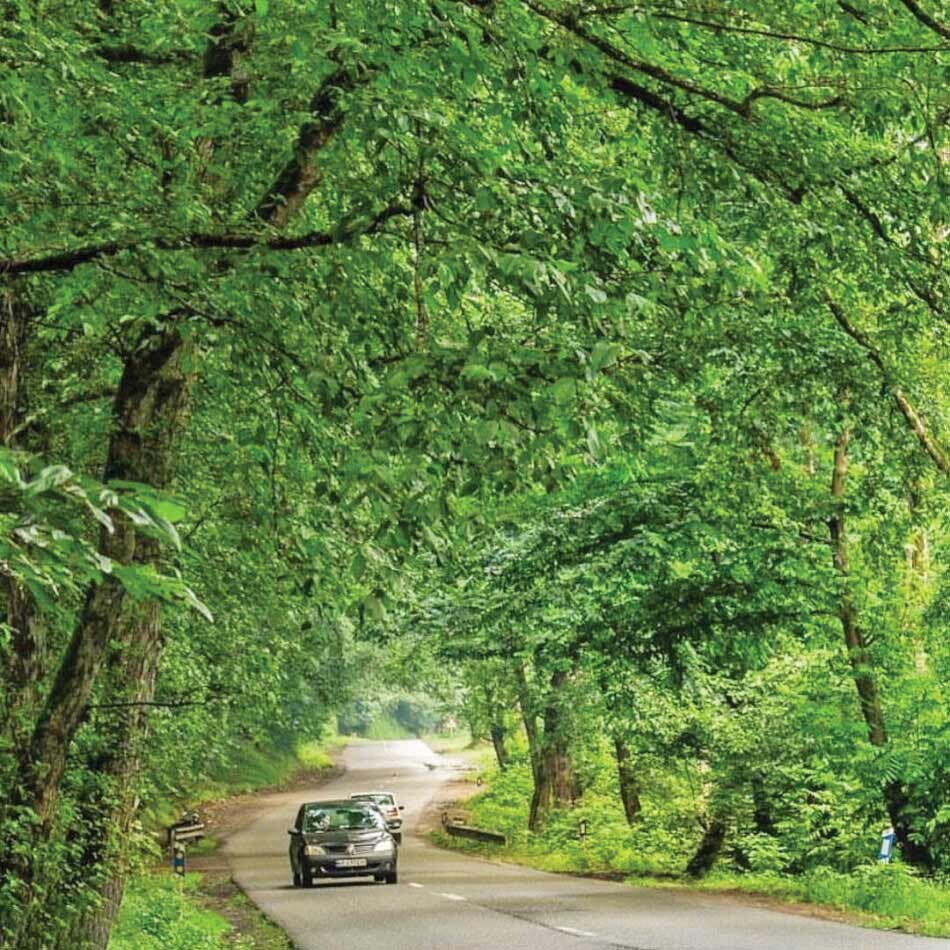 زیباترین جاده های ایران را ببینید | جایی که زیبایی کم میآورد
