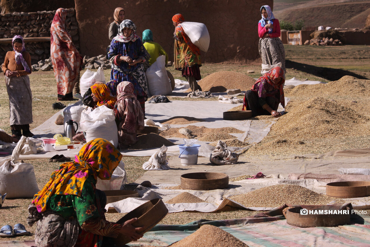 نگاهی به کار عجیب و دشوار زنان روستا در یک روز جهانی
