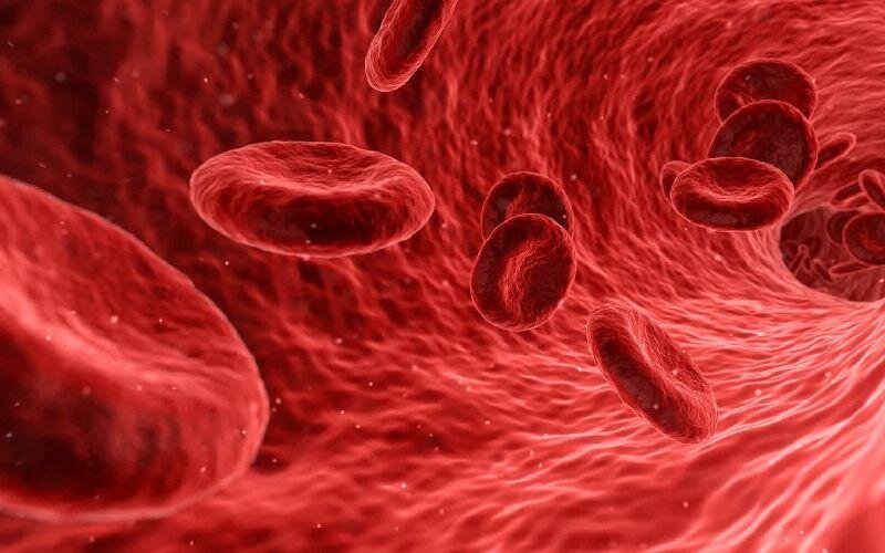 کم خونی ارثی چیست؟ آیا قابل درمان است؟