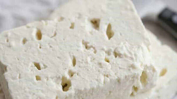 طرز تهیه پنیر لاکتیکی در خانه | ترفندهای حرفهای