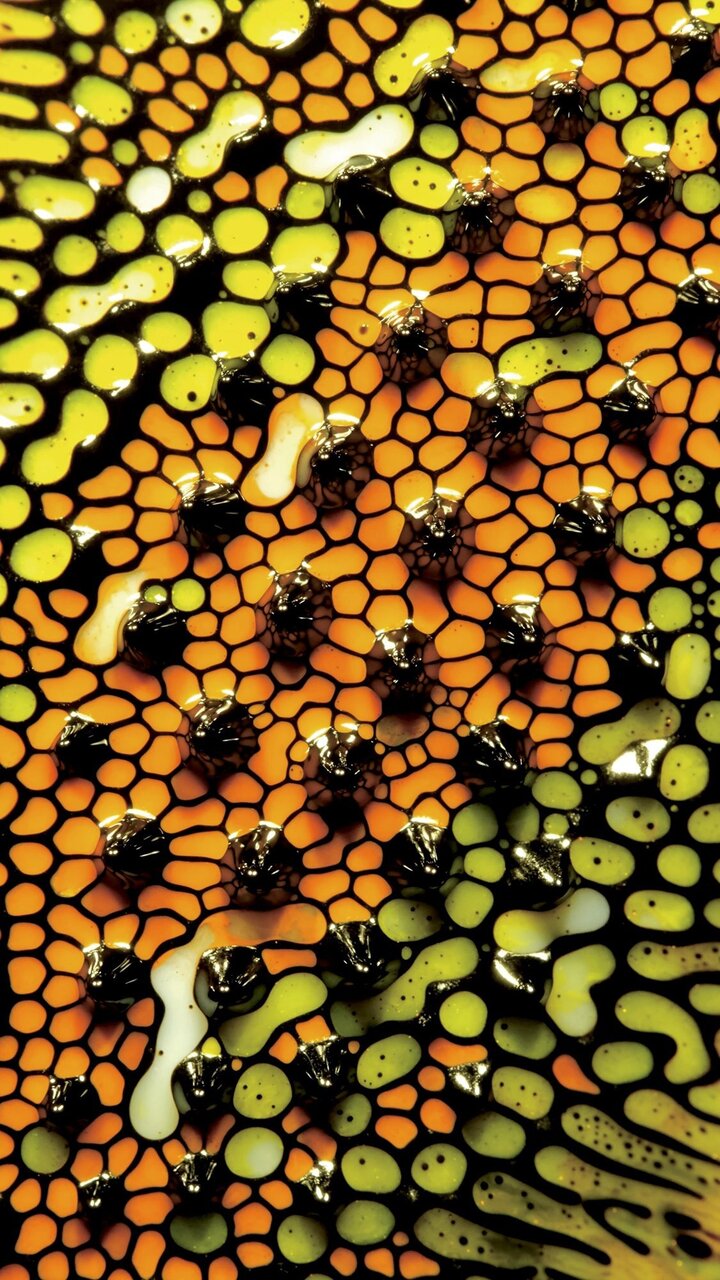 هنری عجیب و انتزاعی که به سرعت محبوب شد ؛ با کازمدرنیسم آشنا شوید + فیلم و عکس