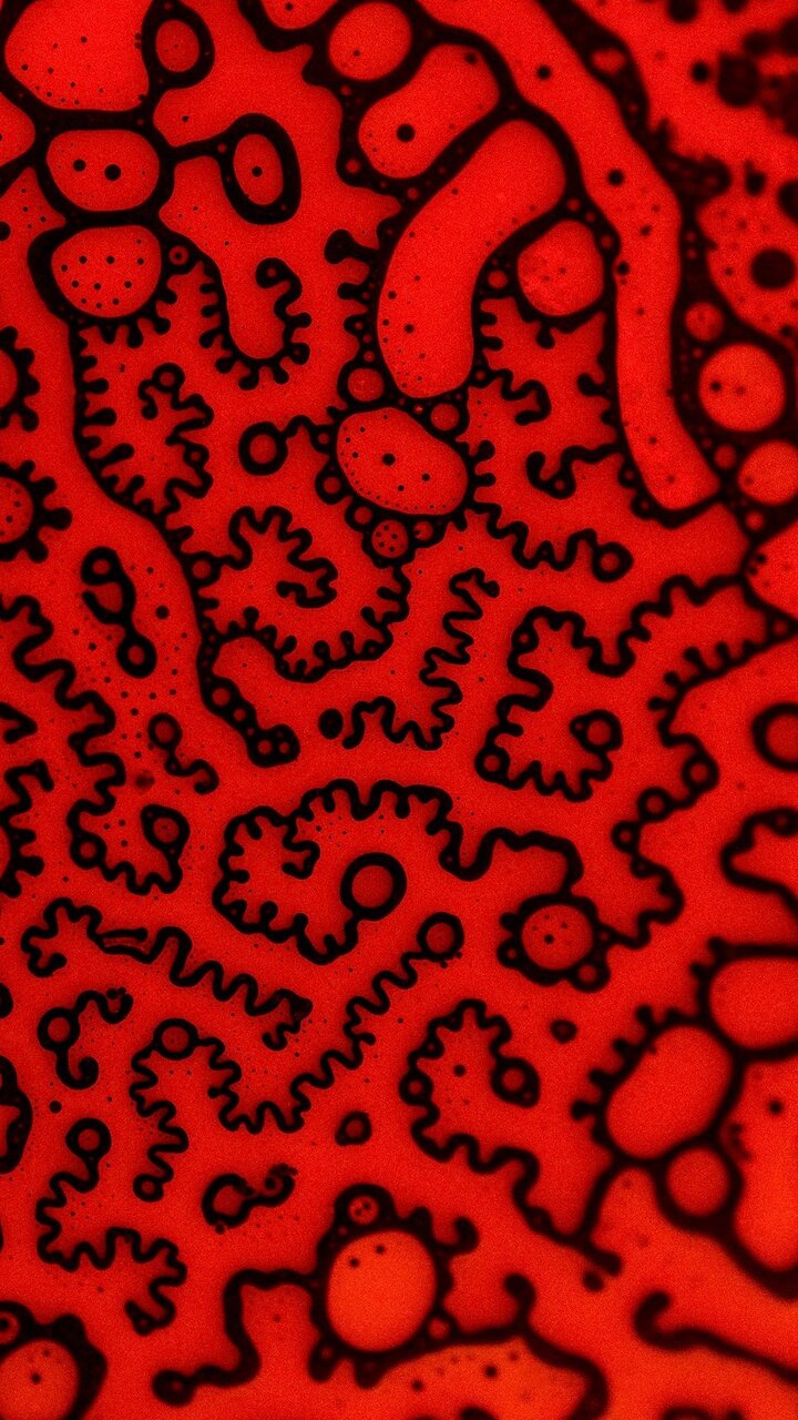 هنری عجیب و انتزاعی که به سرعت محبوب شد ؛ با کازمدرنیسم آشنا شوید + فیلم و عکس