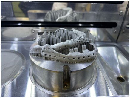 پرینت اندامهای زیستی بدن در دانشگاه صنعتی امیرکبیر | حرکت به سمت ساخت قلب و کلیه مصنوعی در ایران آغاز شد