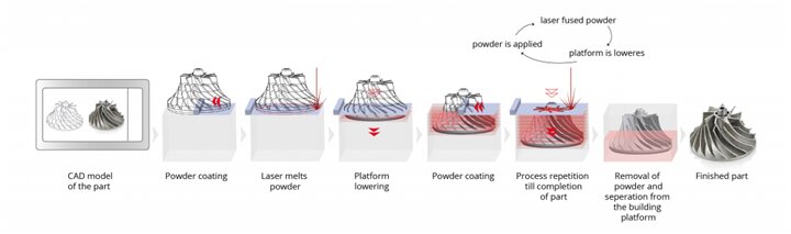 پرینت اندامهای زیستی بدن در دانشگاه صنعتی امیرکبیر | حرکت به سمت ساخت قلب و کلیه مصنوعی در ایران آغاز شد