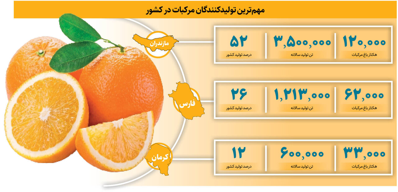 این شهر به پرتقال هایش معروف است + با قطب های مرکبات ایران آشنا شوید