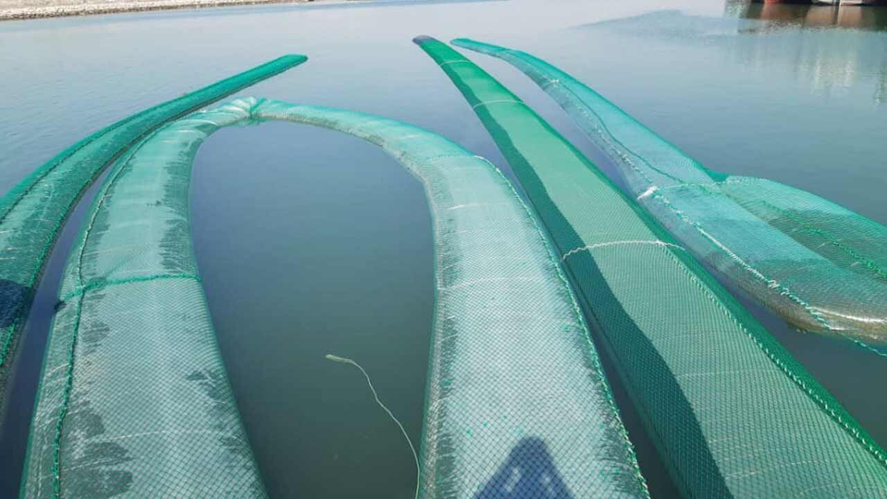 عجیبترین شیوههای قاچاق سوخت؛ از حفر تونل تا استفاده از الاغ