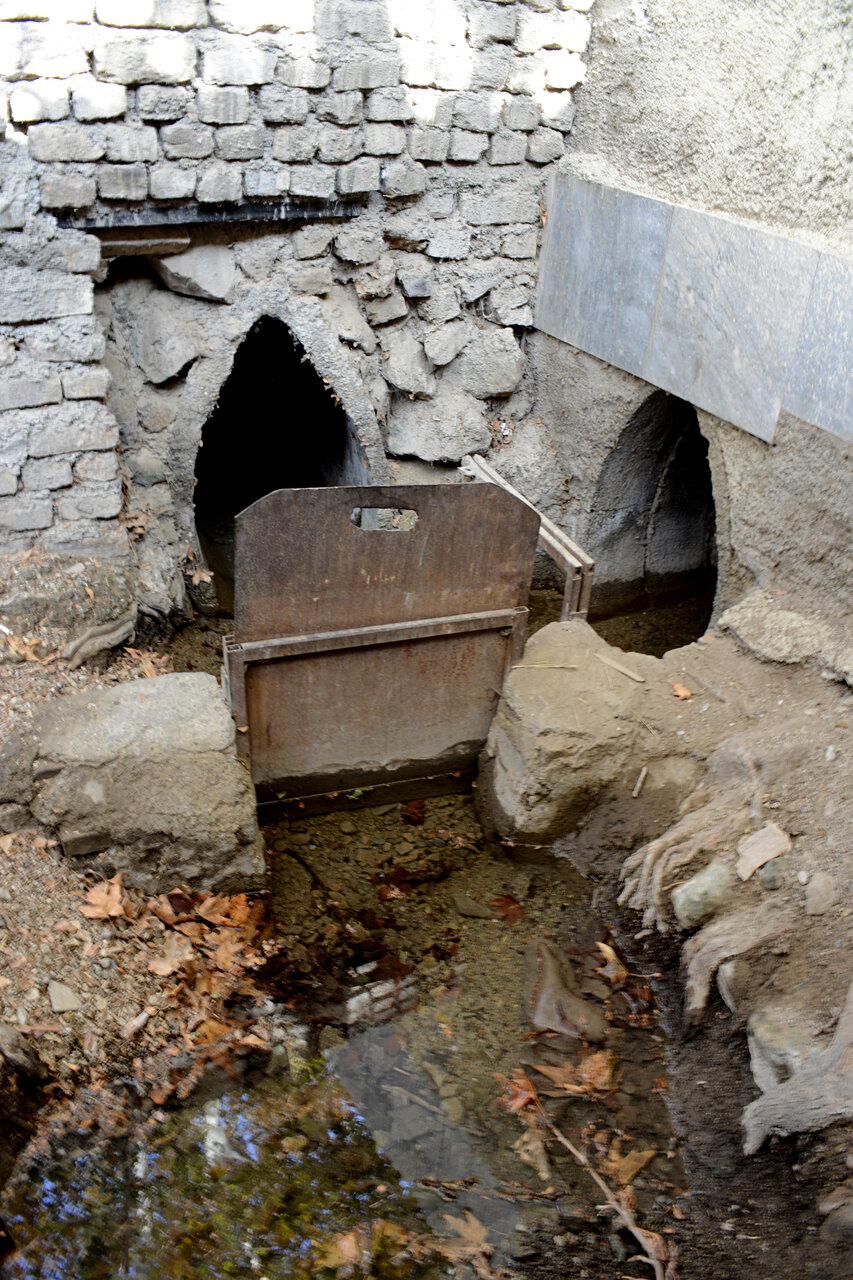 چگونه خوره به جان باغهای پونک میافتاد؟