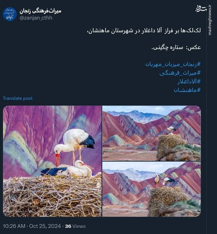 لکلکها بر فراز آلاداغلار؛ زنجان + عکس