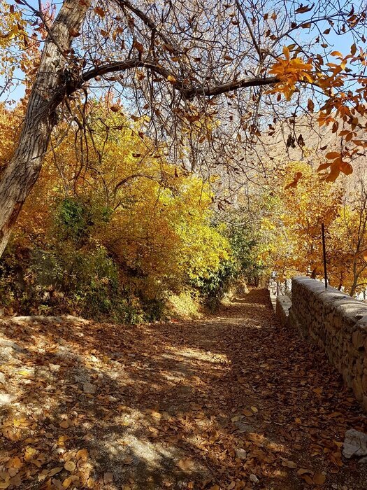 روستای برگ جهان؛ پناهگاه تهرانی ها برای فرار از دود و دم شهر