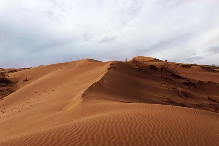 گردش میان رملهای ماسهای و تپههای شنی ابوزیدآباد