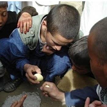 جنگ تخممرغها در لواسان