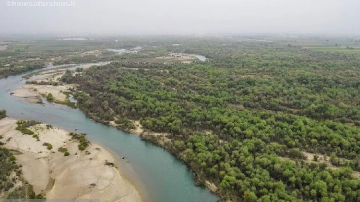 وعده ۶۰ ساله به گوزن های زرد خوزستان | فاضلاب کارخاه کاغذسازی زیستگاه گوزن های زرد را آلوده کرد