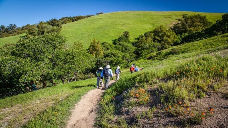 ۲۵ راه سریع برای از بین بردن استرس