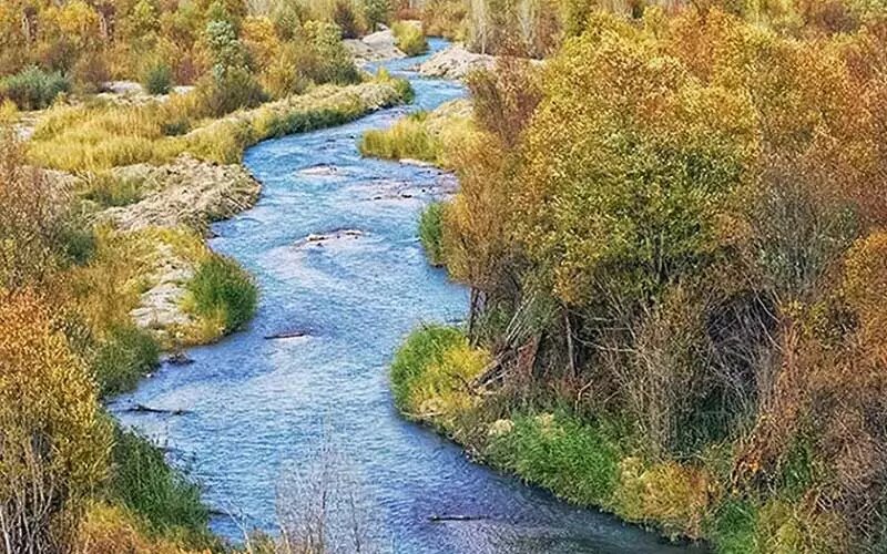 تماشای برگ‌ریزان از زرین‌دشت تا سله‌بن