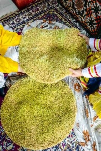 ماجرای عدسهایی که زیر زبان گذاشته میشد | رسم همسایگی در مراسم سمنوپزان