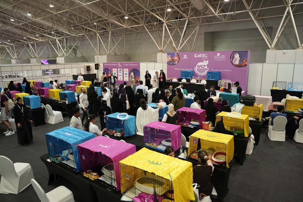 نخستین نمایشگاه بینالمللی گربه در عربستان | عکس