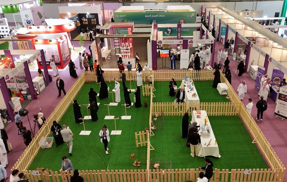 نخستین نمایشگاه بینالمللی گربه در عربستان | عکس