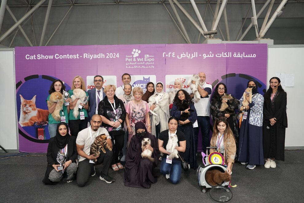 نخستین نمایشگاه بینالمللی گربه در عربستان | عکس