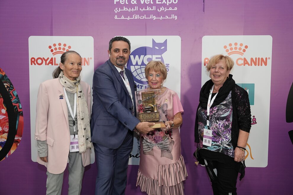 نخستین نمایشگاه بینالمللی گربه در عربستان | عکس