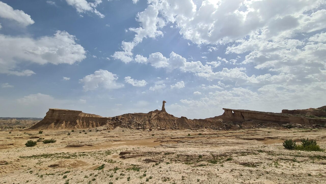 کلوت شتر دلوار